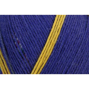 REGIA Sockenwolle Color Design Line 4-fädig, 09139 Star 100g