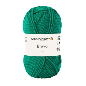 Schachenmayr Bravo, 08246 Gras 50g