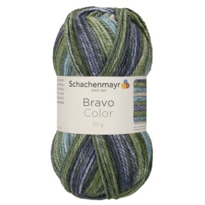 Schachenmayr Bravo Color, 02122 Moor 50g
