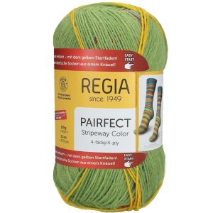 REGIA Sockenwolle Color Pairfect Line 4-fädig, 02295 Petrol- Lime 100g