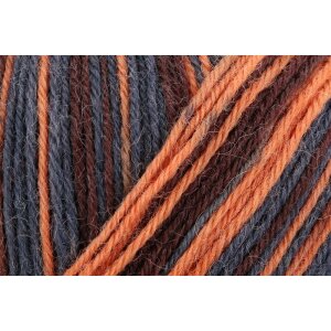 REGIA Sockenwolle Color 4-fädig, 02593 Orange-Brown...
