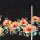 Jersey Tropical Aquarell Flower Bordüre Denimlook - Glitzerpüppi Eigenproduktion