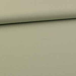 1 Reststück 0,90m BIO Uni Jersey Amelie - Hellmint