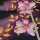 1 Reststück 0,60m Jersey Blumenranken Rosa Gold auf Navy - Glitzerpüppi Exklusiv Eigenproduktion