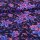 Stoffpaket Jersey Glowing Flowers Navy - Glitzerpüppi Exklusiv Eigenproduktion