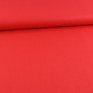 Canvas Uni Rot