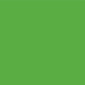 STAHLS Flexfolie CAD-CUT Premium Plus #401 fluo green -...