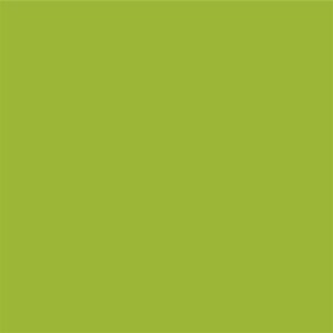 STAHLS Flexfolie CAD-CUT Premium Plus #421 apple green -...