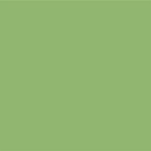 STAHLS Flexfolie CAD-CUT Premium Plus #420 pastel green -...